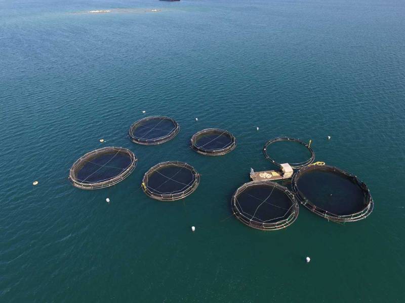 South Asia’s first-ever offshore oceanic Barramundi fish farm