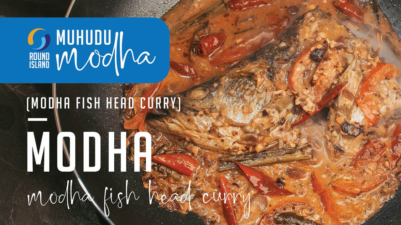 Modha (Barramunidi) Fish Head Curry